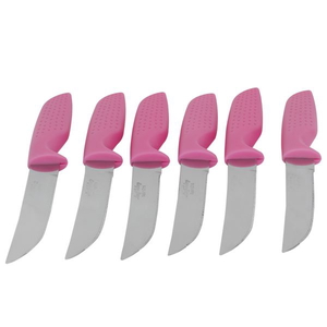 Al Saif Gallery Steel Knife Set, 6 Pieces - Pink product image