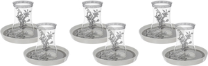 Al Saif Gallery Tea Cup Set with Glass Plate, 12 Pieces, 200 ml - Clear White product image