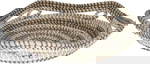 Al Saif Gallery aisha Khos, 36 x 36 x 10 cm, round - grey-beige product image 1