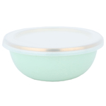 Al Saif Gallery steel bowl, 12 cm, plastic cover - light green product image 1