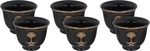 Al Saif Gallery Porcelain Coffee Cups Set, 6 Pieces - Black product image 1